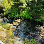 Heinrich In & Out - Bergblick * זוננאלפה נאספלד