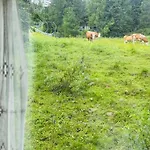 Heinrich In & Out - Bergblick شقة *
