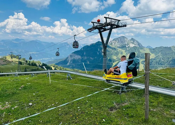 Apartament Heinrich In & Out - Bergblick *