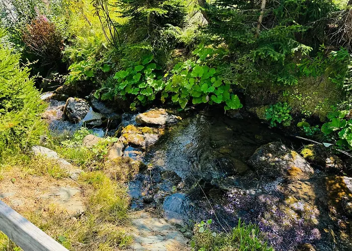 Heinrich In & Out - Bergblick * Sonnenalpe Nassfeld
