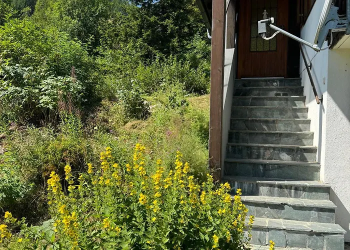 Apartament Heinrich In & Out - Bergblick *